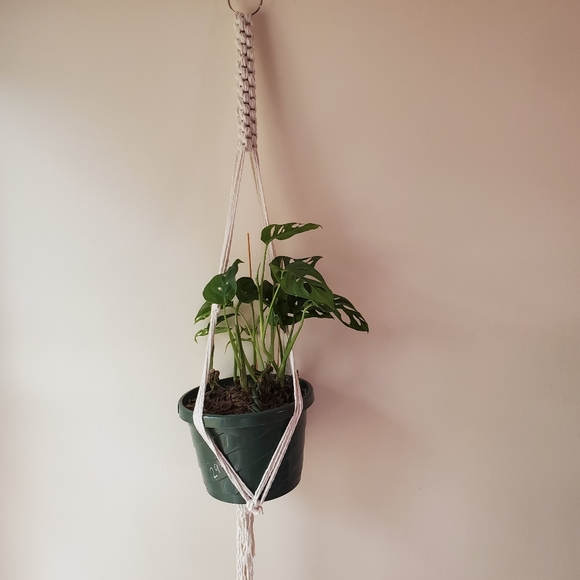 Artisan Other - Macrame Plant Hanger (Box pattern)